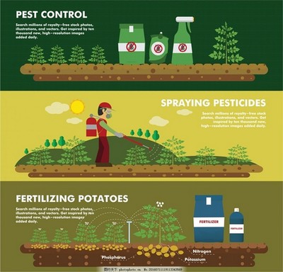 肥料橫幅設(shè)計(jì)與工廠(chǎng)產(chǎn)品免費(fèi)矢量圖全攻略