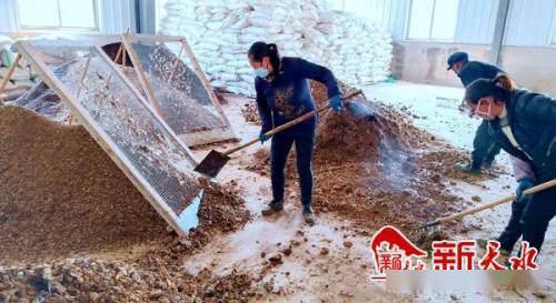 沃土富民路，生態(tài)高橋村 發(fā)展有機(jī)肥料產(chǎn)業(yè)，書(shū)寫(xiě)鄉(xiāng)村振興新篇章